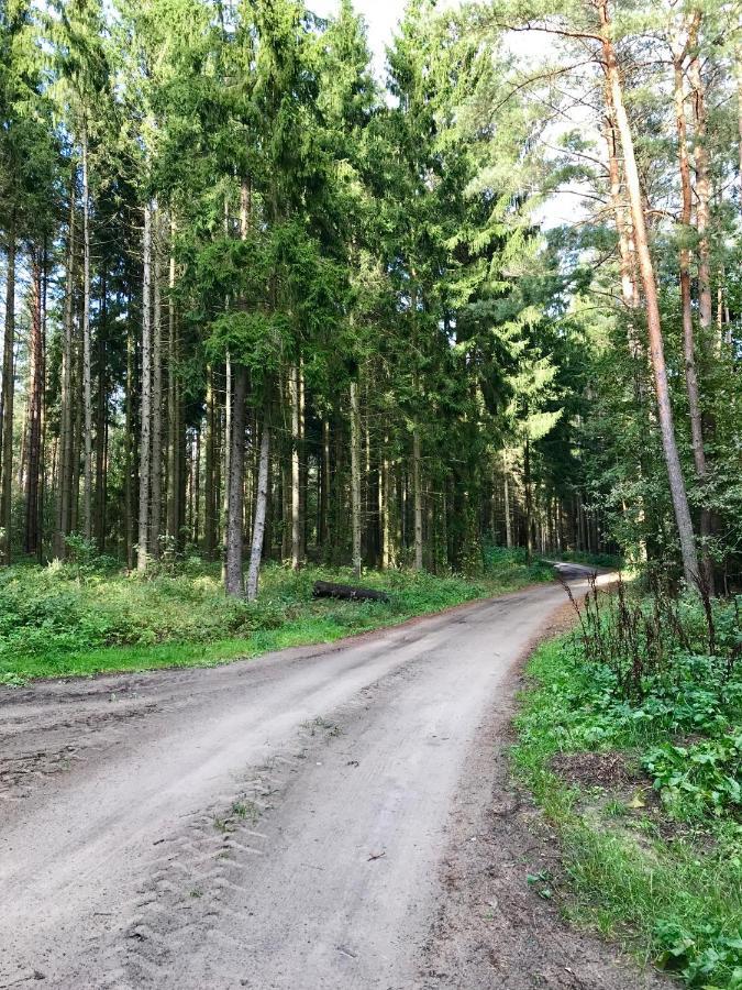 Holiday home Srokowski Dwor 1 - Stara Kuznia - Prywatna Sauna ! *